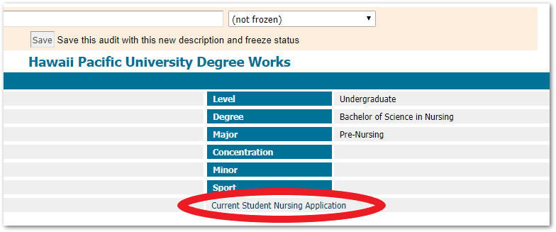 Degree Works Nursing