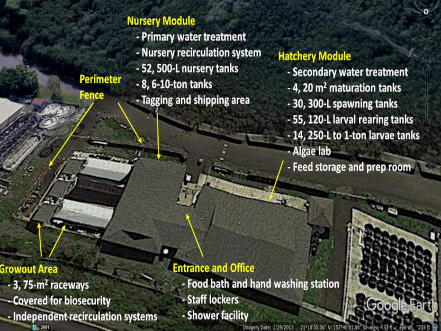 Nucleus Breeding Center